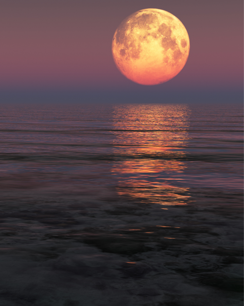 Moon Phases
Embracing Lunar Wisdom: Navigating Life's Rhythms with the Moon
(Pic Canva)