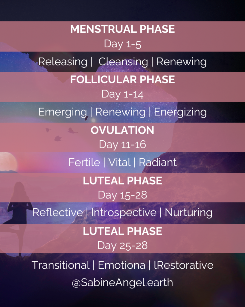 Menstrual Cycle
Exploring the Phases of the Menstrual Cycle: Understanding its Dynamics and Influences
©2024 Sabine Angel
(Pic Canva)