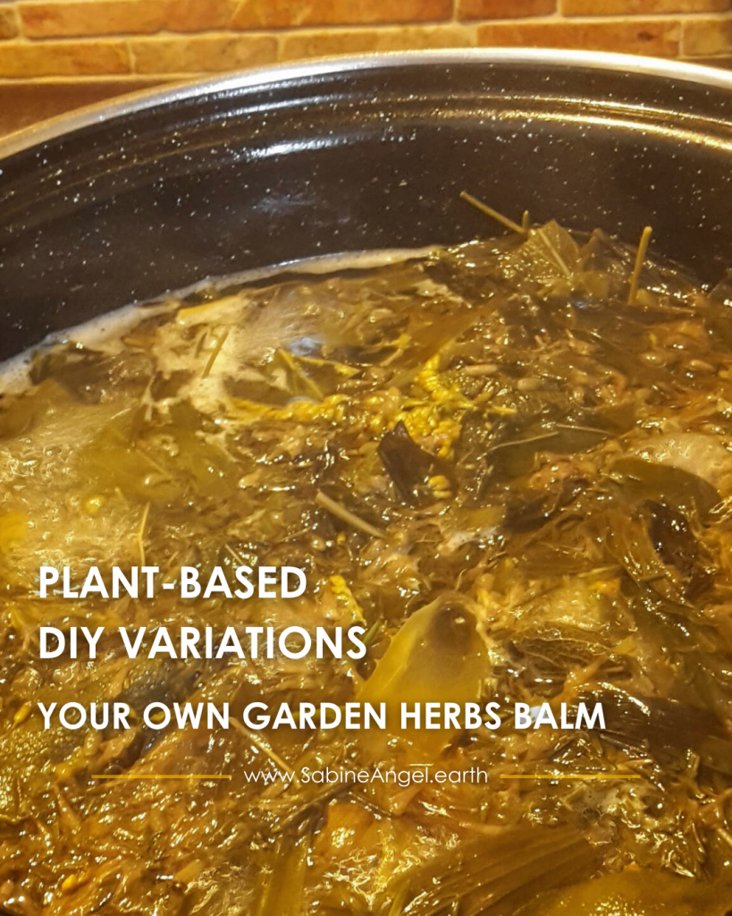 A DIY Guide for Personalized Wellness
Make Your Own Healing Salves
Plant based Variation
@Sabine Angel